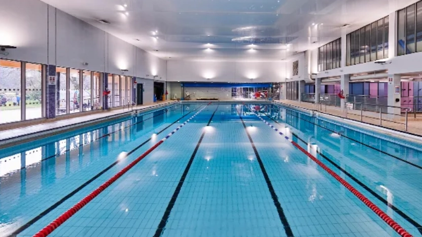 Swim